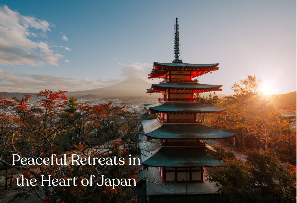 Wellness environment